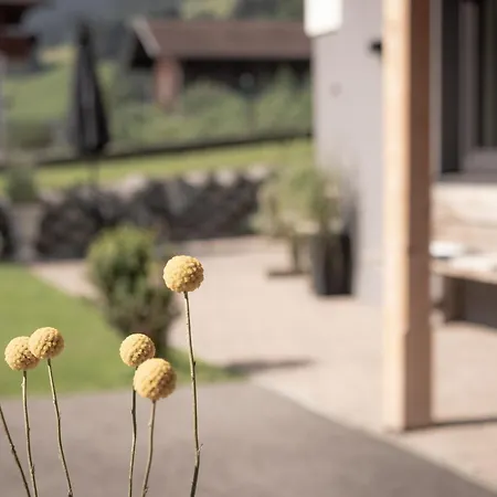 Neudegger Apartman Grossarl